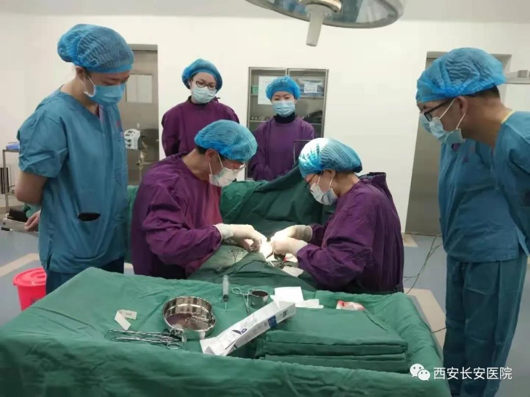 微信图片_20210318182159.jpg 微信图片_20210318182159.jpg