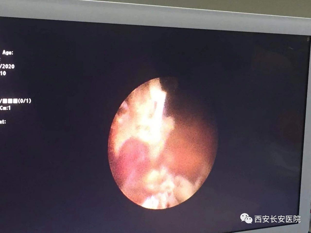 微信图片_20201231141901.jpg 微信图片_20201231141901.jpg